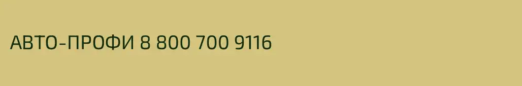 АВТО-ПРОФИ 8 800 700 9116